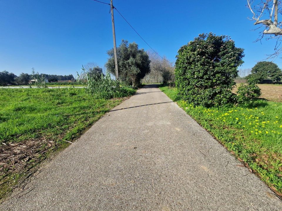 Helårsgrund i Anadia, Aveiro - foto 2