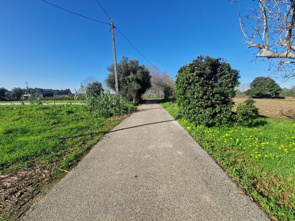 Helårsgrund i Anadia, Aveiro - foto 4
