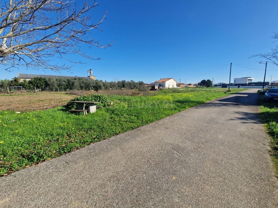 Helårsgrund i Anadia, Aveiro - foto 5