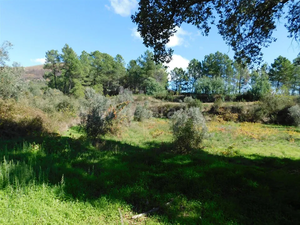 Landejendom i Fundao, Castelo Branco - foto 1