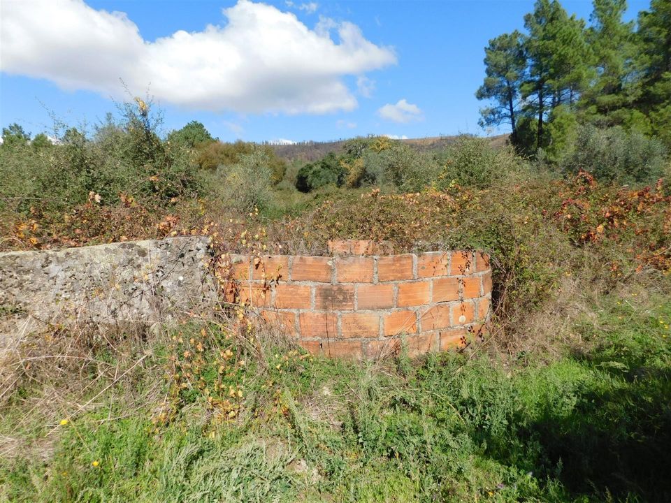 Landejendom i Fundao, Castelo Branco - foto 3