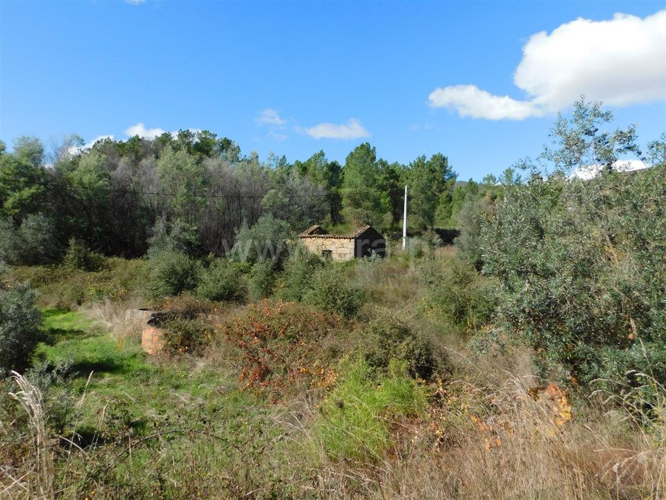 Landejendom i Fundao, Castelo Branco - foto 5