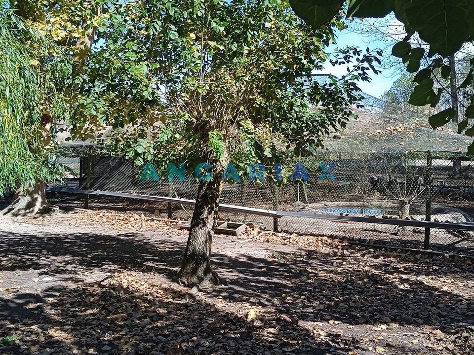Villa i Leiria, Leiria - foto 4