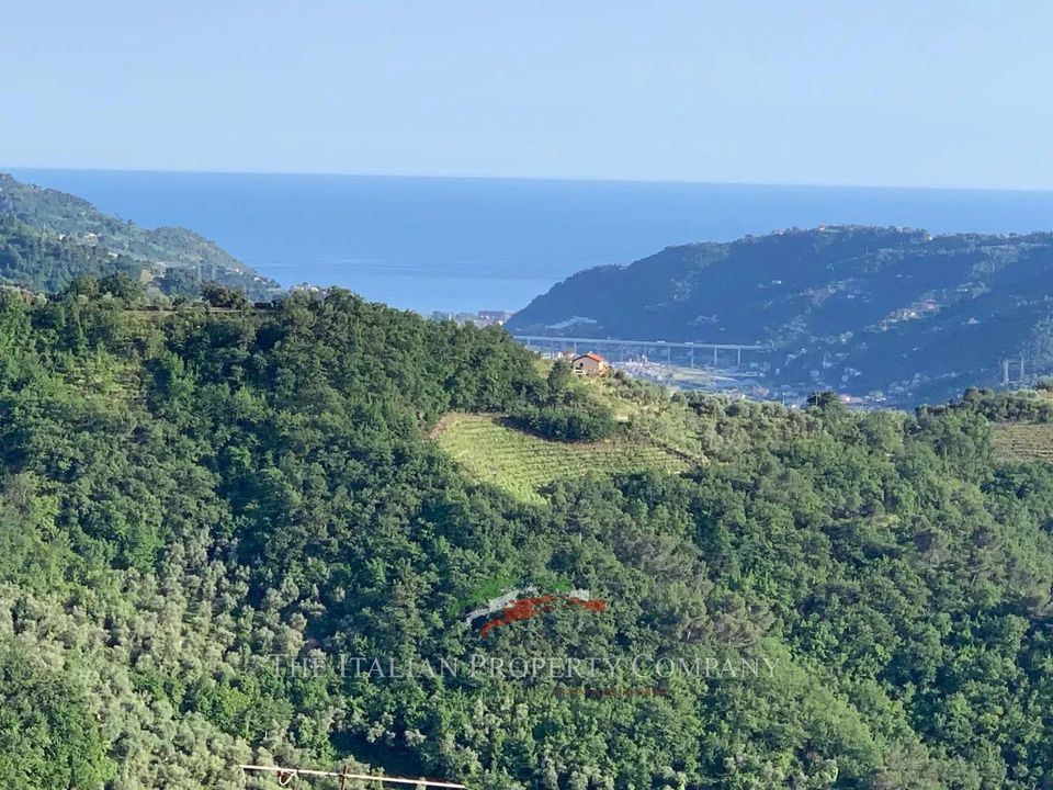 Villa i Dolceacqua, Imperia - foto 2