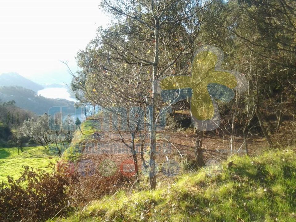 Helårsgrund i Paredes, Porto - foto 3