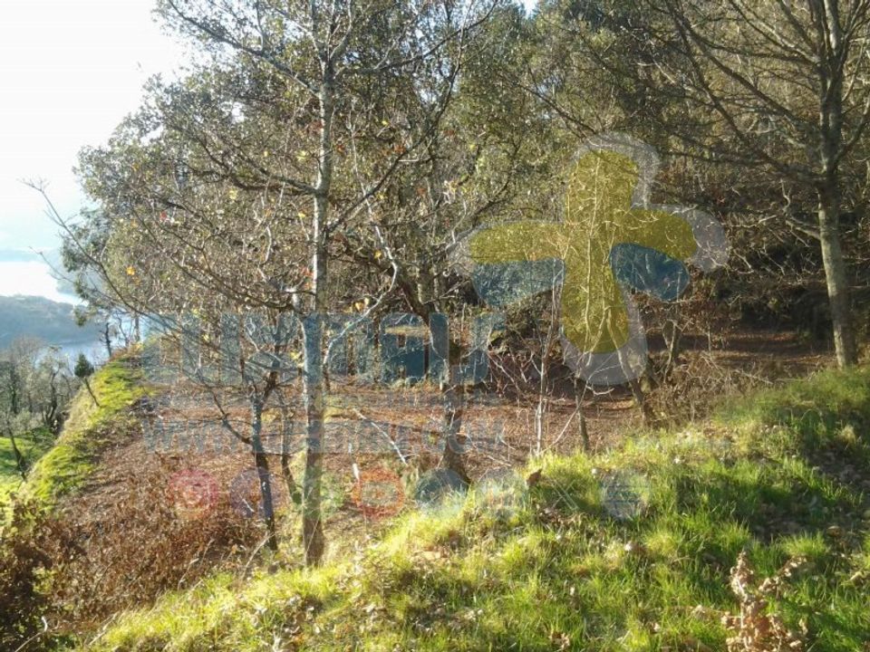 Helårsgrund i Paredes, Porto - foto 4