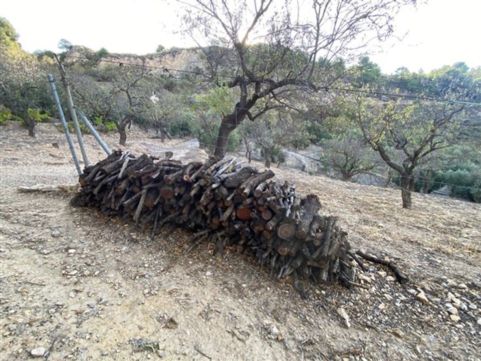 Cortijo i Mondujar, Granada - foto 4