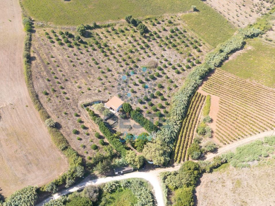 Helårsgrund i Bombarral, Leiria - foto 4