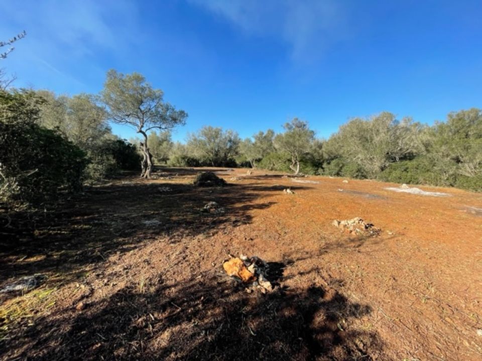 Helårsgrund i Felanitx, Mallorca - foto 4