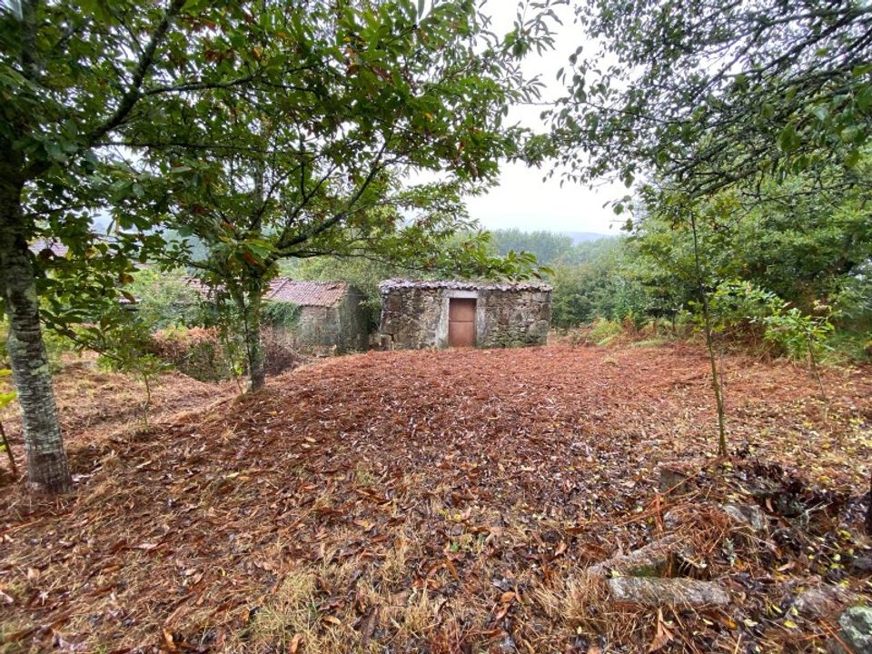 Ruinere i Paredes de Coura, Viana do Castelo - foto 2