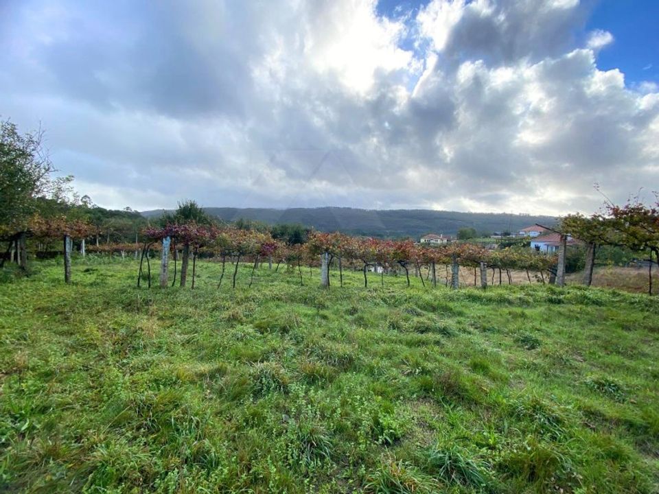 Helårsgrund i Paredes de Coura, Viana do Castelo - foto 1