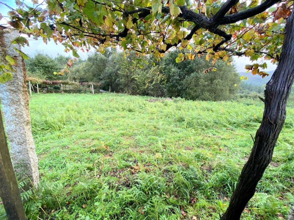 Helårsgrund i Paredes de Coura, Viana do Castelo - foto 2