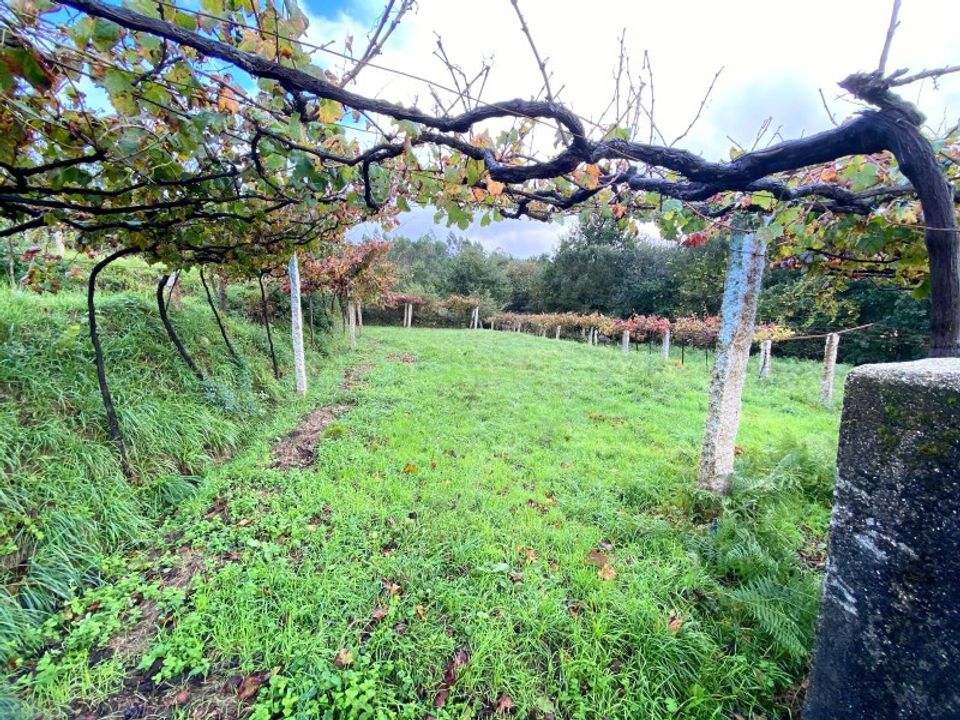 Helårsgrund i Paredes de Coura, Viana do Castelo - foto 3