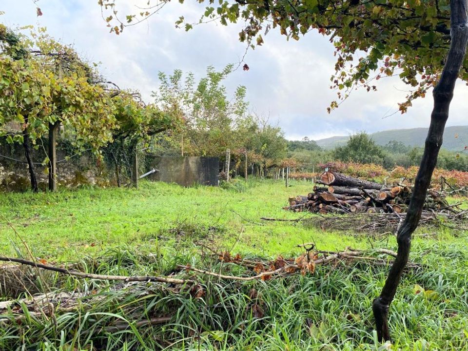 Helårsgrund i Paredes de Coura, Viana do Castelo - foto 4