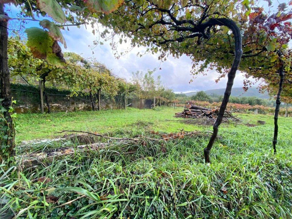 Helårsgrund i Paredes de Coura, Viana do Castelo - foto 5