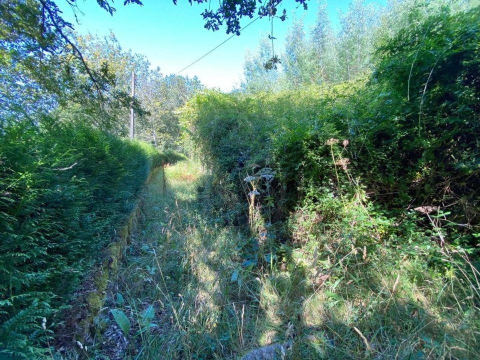 Gård i Paredes de Coura, Viana do Castelo - bilde 3