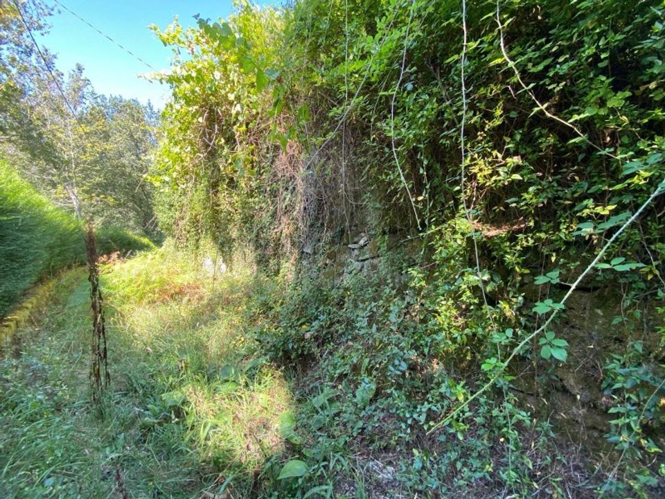Gård i Paredes de Coura, Viana do Castelo - bilde 4