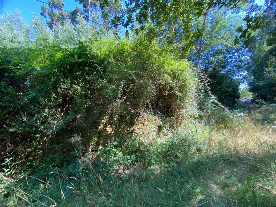 Gård i Paredes de Coura, Viana do Castelo - bilde 5
