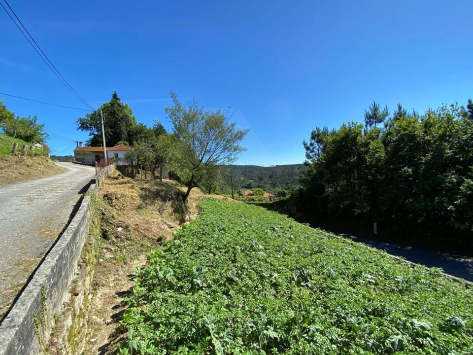 Herregård i Cunha, Viana do Castelo - bilde 1