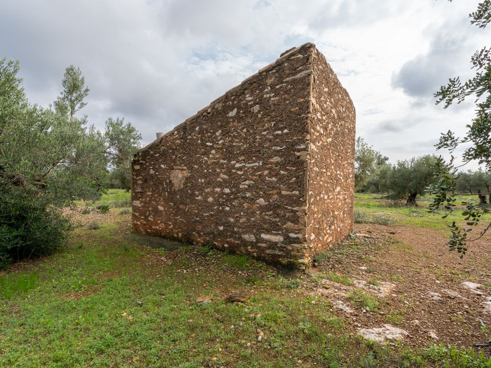 Finca i Xerta, Tarragona - foto 5