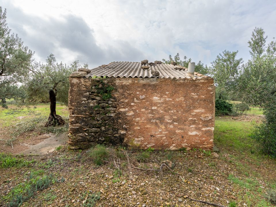 Finca i Xerta, Tarragona - foto 3