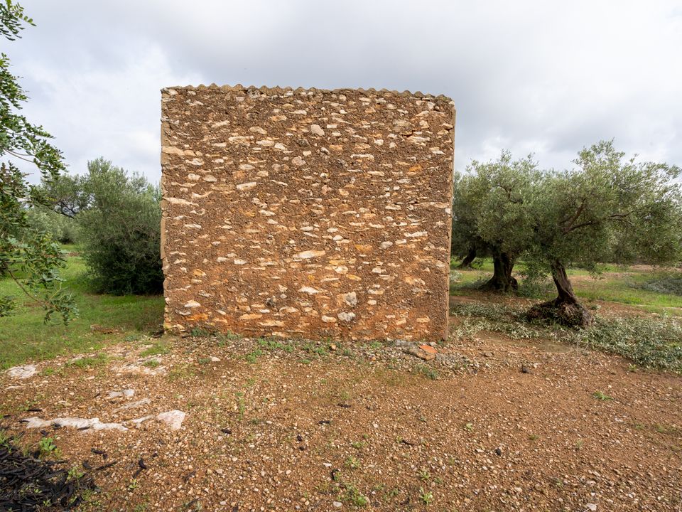 Finca i Xerta, Tarragona - foto 4