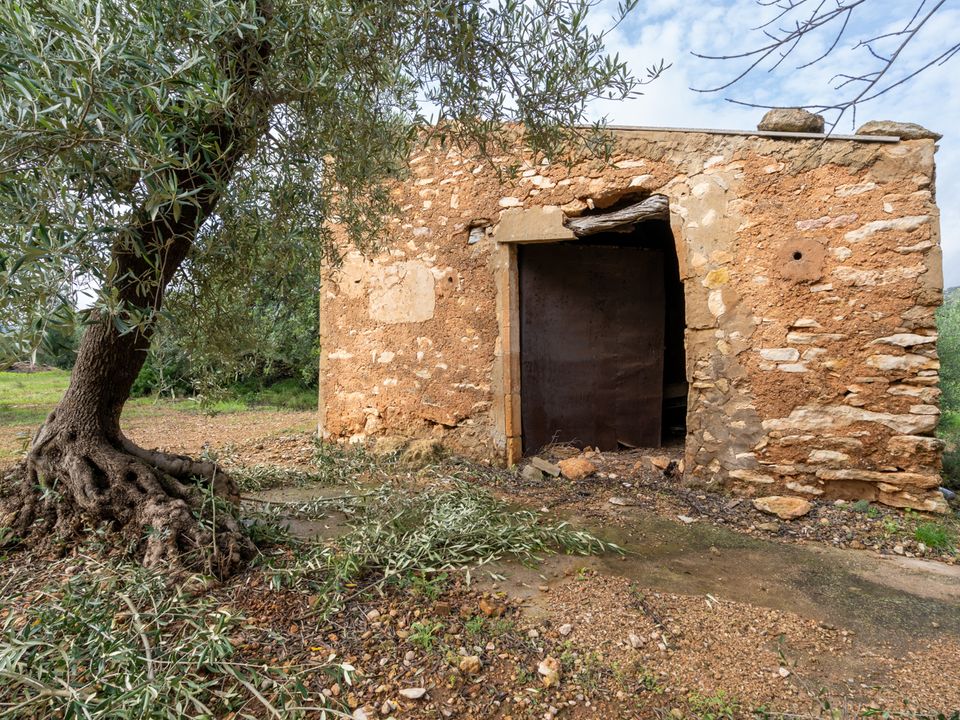 Finca i Xerta, Tarragona - foto 2