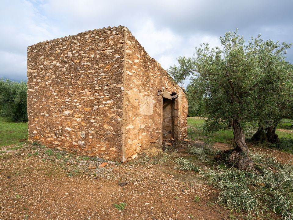 Finca i Xerta, Tarragona - foto 1