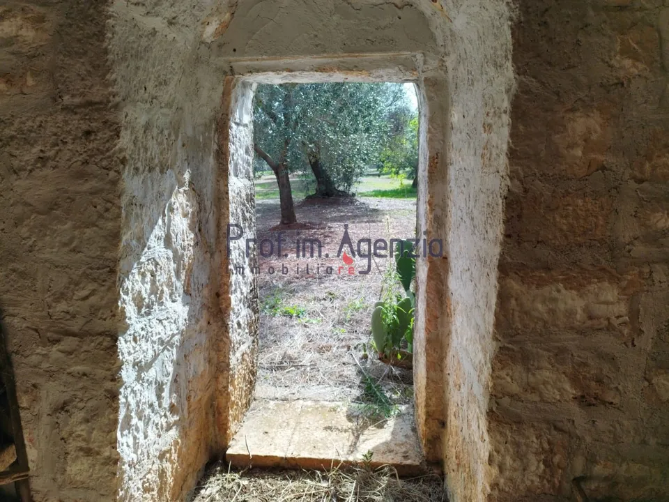 Landejendom i San Vito dei Normanni, Brindisi - foto 2