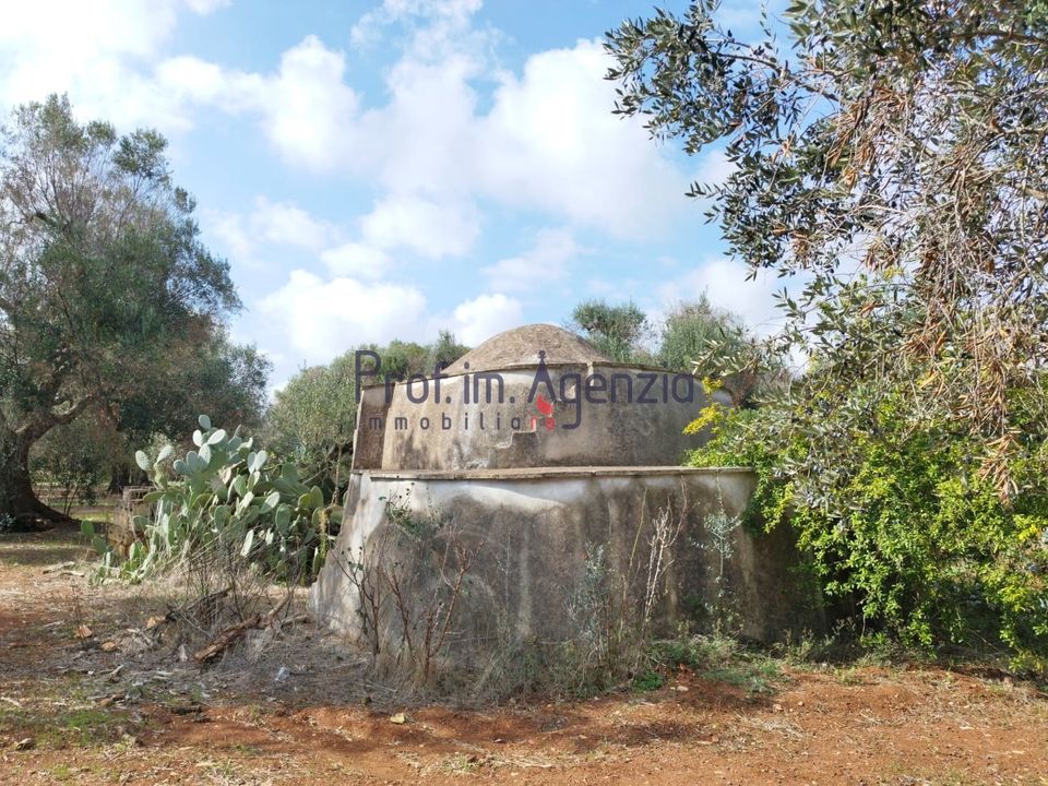 Landejendom i San Vito dei Normanni, Brindisi - foto 4