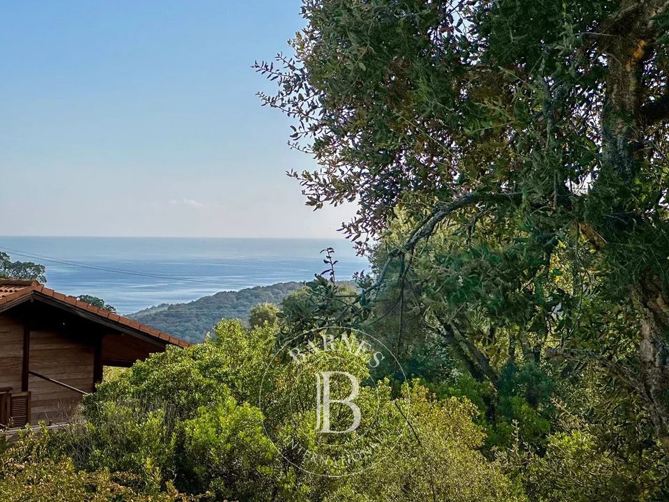 Helårsgrund i Sari-Solenzara, Corse-du-Sud - foto 2
