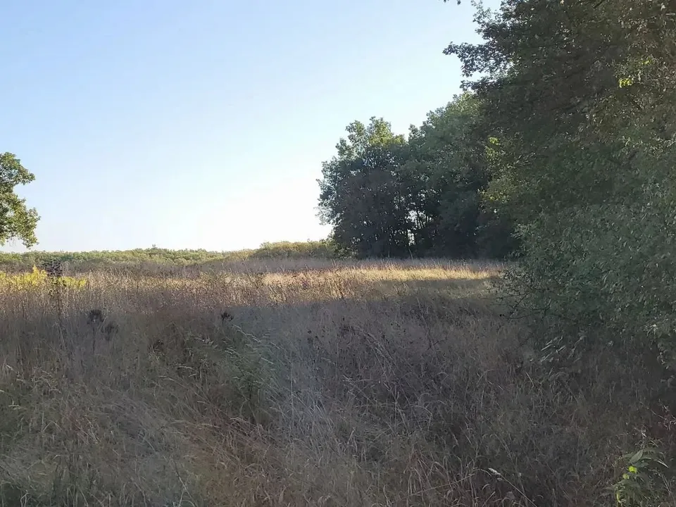 Helårsgrund i Montaigu-de-Quercy, Tarn-et-Garonne - foto 1