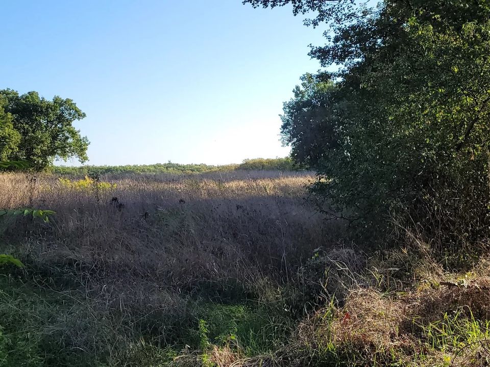 Helårsgrund i Montaigu-de-Quercy, Tarn-et-Garonne - foto 2