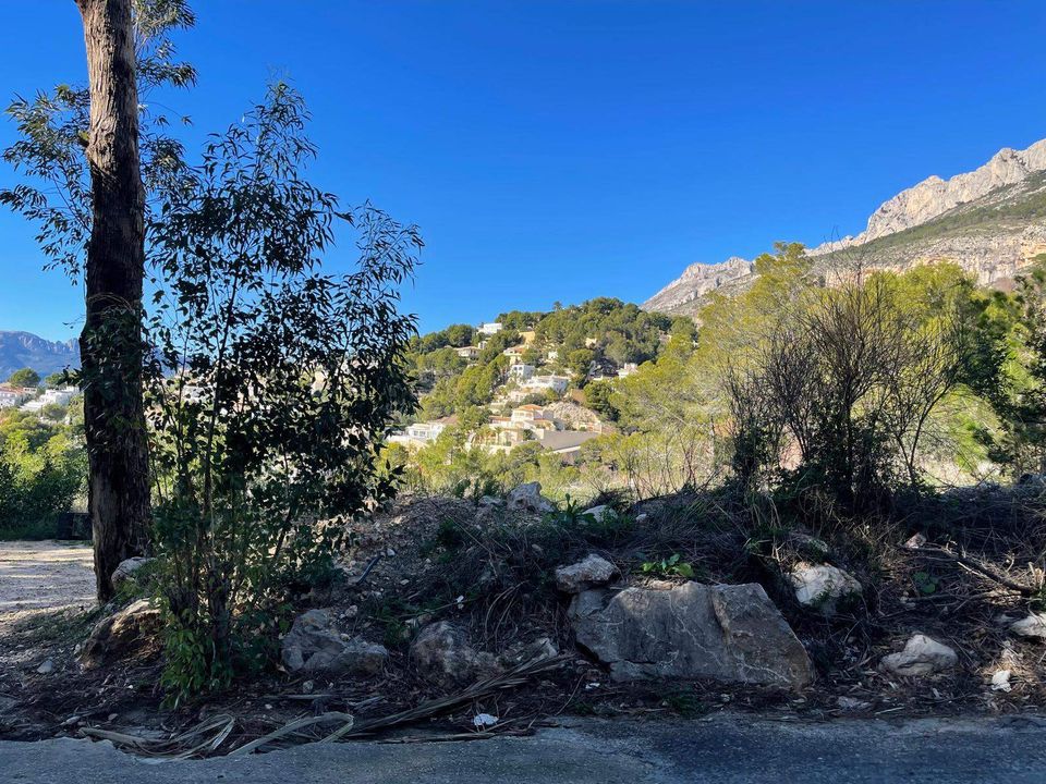 Helårsgrund i Altea, Alicante - foto 4