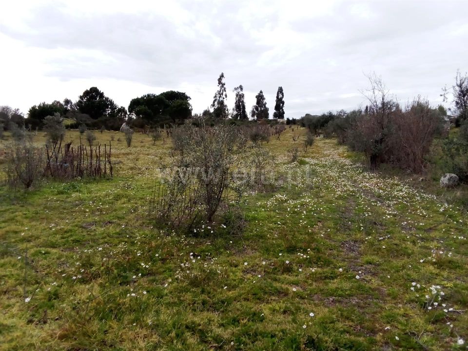 Erhvervsejendom i Mangualde, Viseu - foto 5