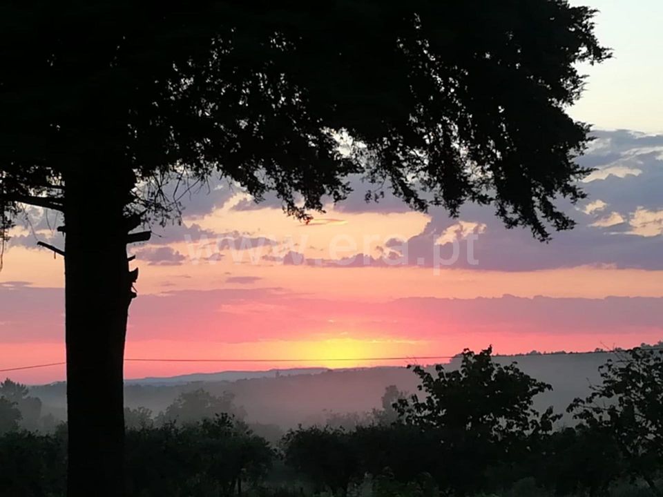 Masia a Mangualde, Viseu - foto 1