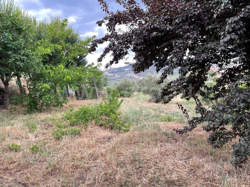Masia a Mangualde, Viseu - foto 4