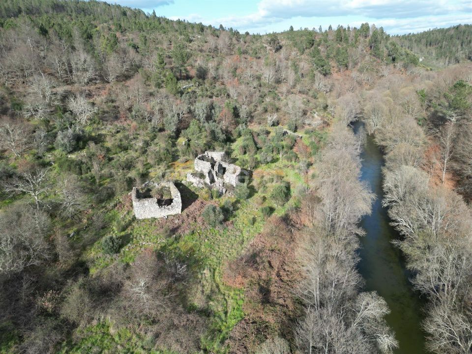 Erhvervsejendom i Penalva do Castelo, Viseu - foto 1