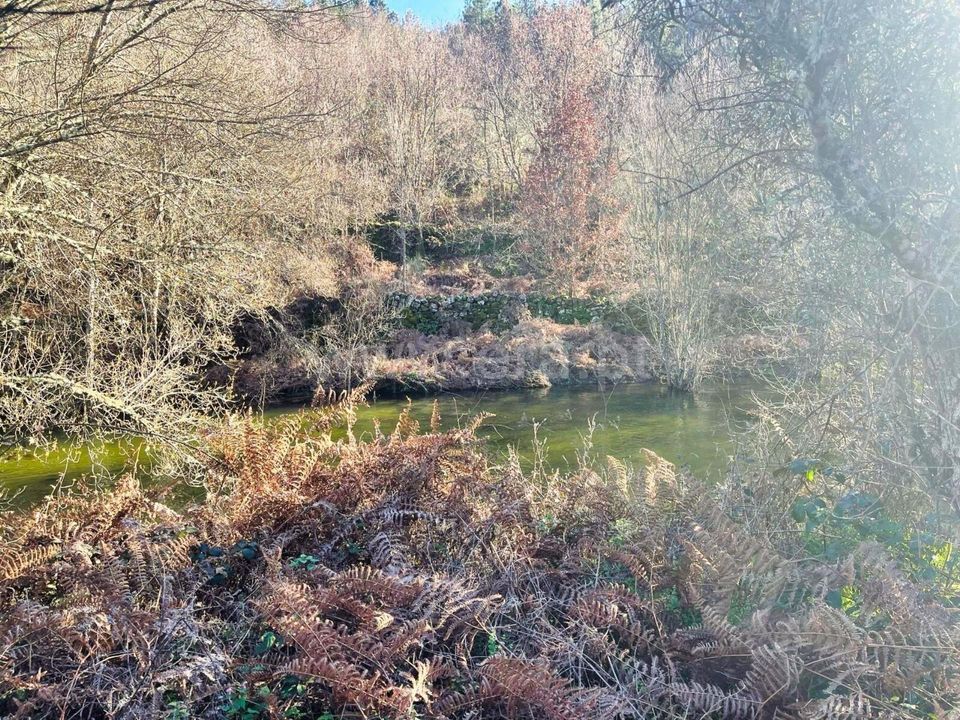 Erhvervsejendom i Penalva do Castelo, Viseu - foto 2
