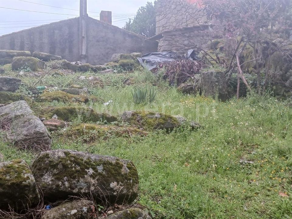 Helårsgrund i Mangualde, Viseu - foto 2