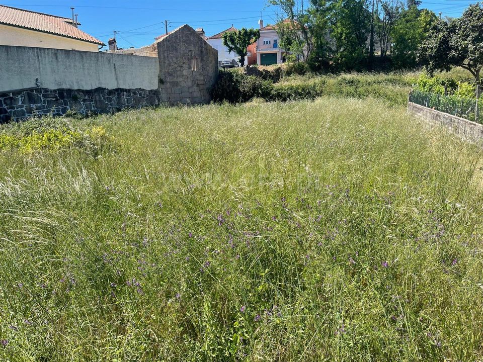 Helårsgrund i Mangualde, Viseu - foto 2