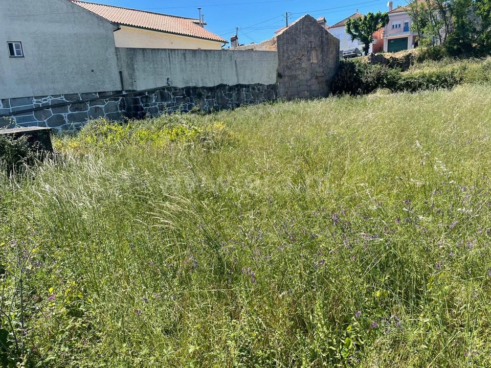Helårsgrund i Mangualde, Viseu - foto 3