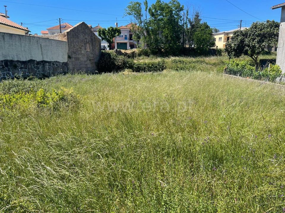 Helårsgrund i Mangualde, Viseu - foto 4