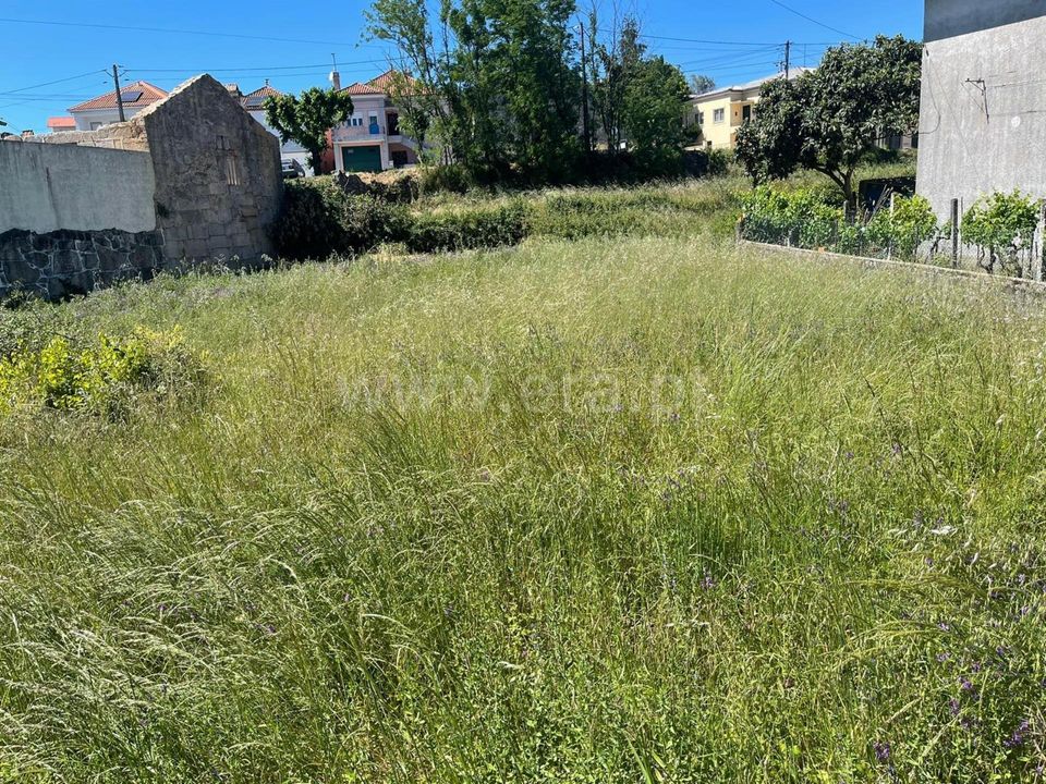 Helårsgrund i Mangualde, Viseu - foto 5