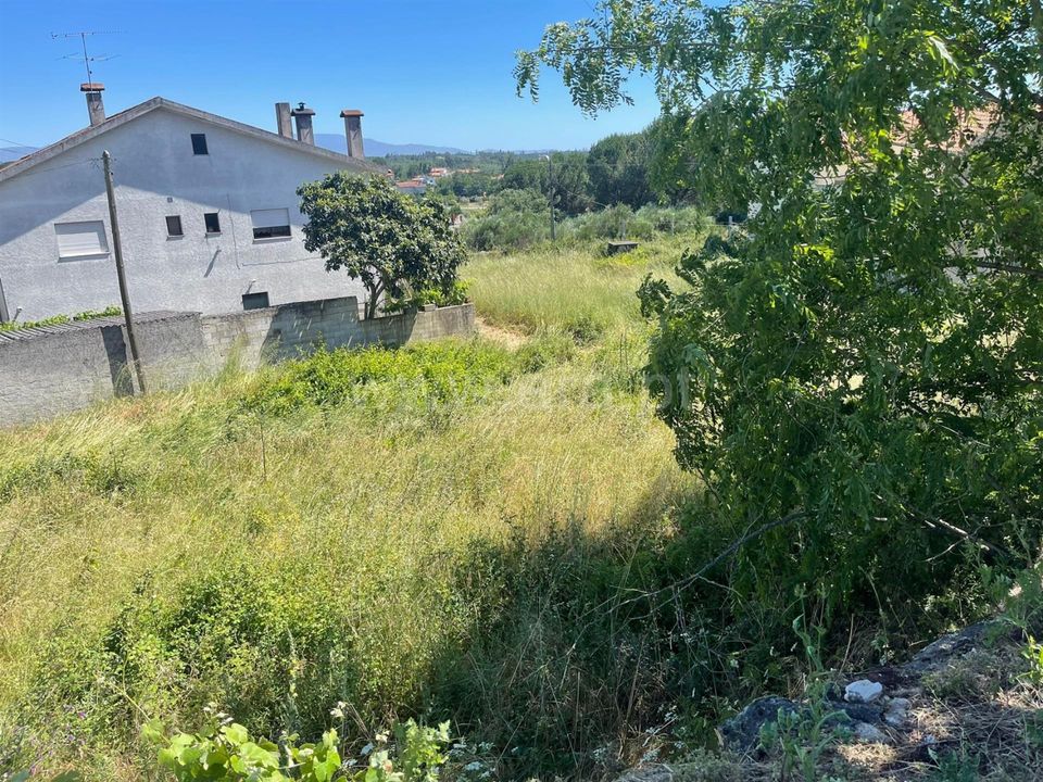 Helårsgrund i Mangualde, Viseu - foto 3