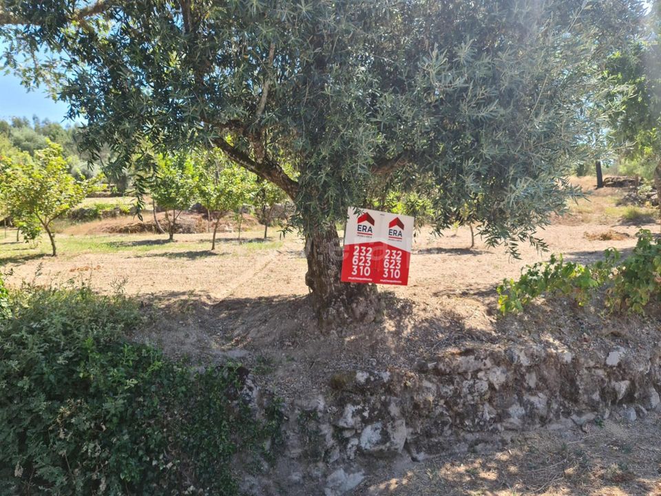 Erhvervsejendom i Penalva do Castelo, Viseu - foto 1