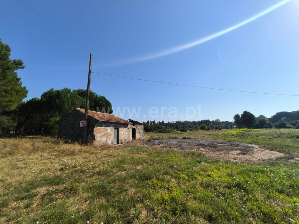 Działka: Nelas, Viseu – zdjęcie 1