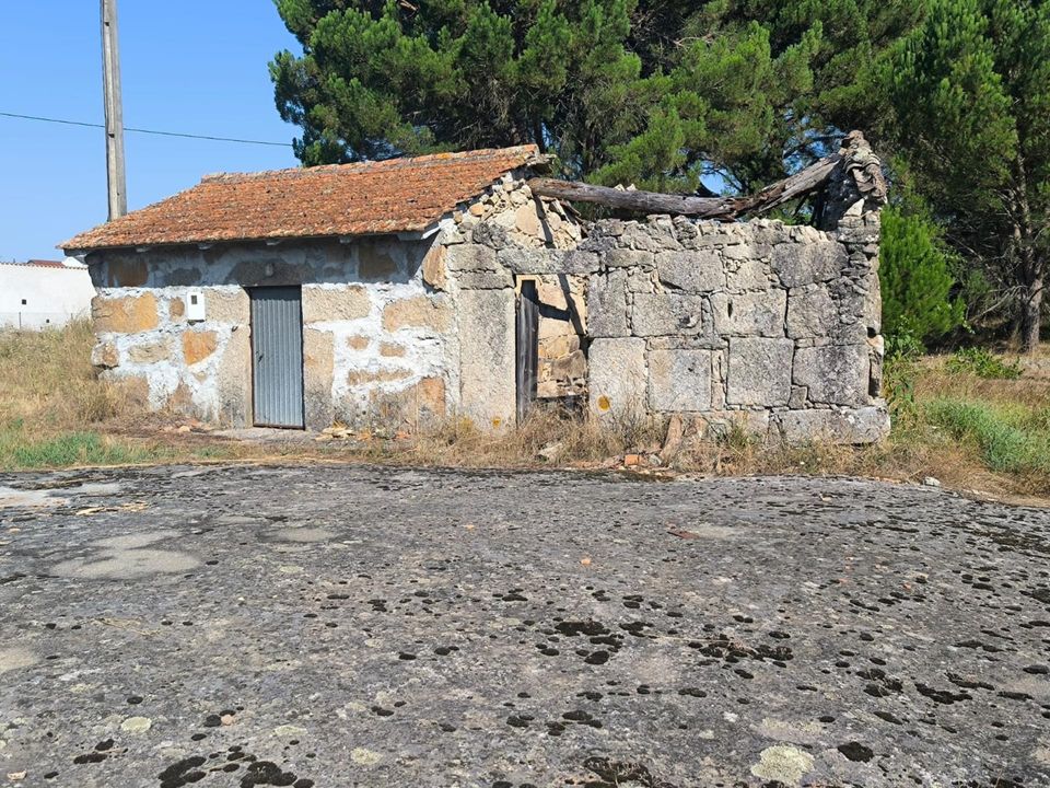 Działka: Nelas, Viseu – zdjęcie 3