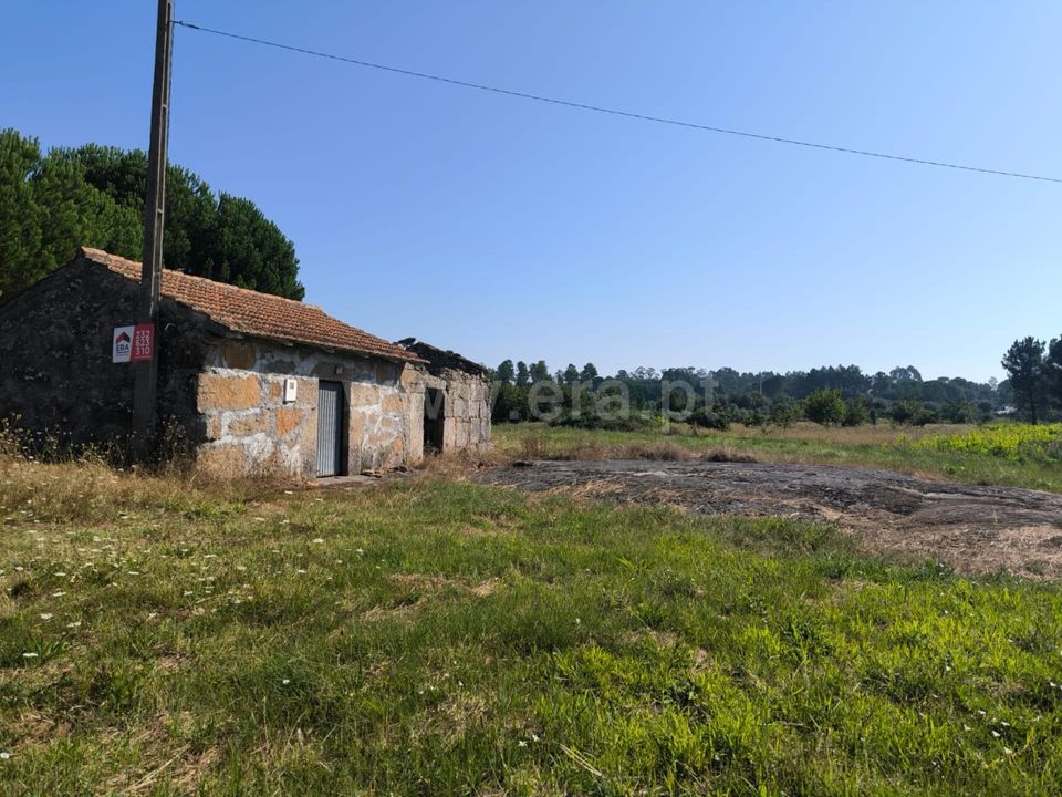 Działka: Nelas, Viseu – zdjęcie 4