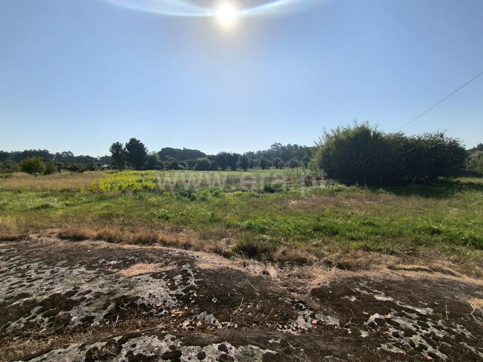 Działka: Nelas, Viseu – zdjęcie 5